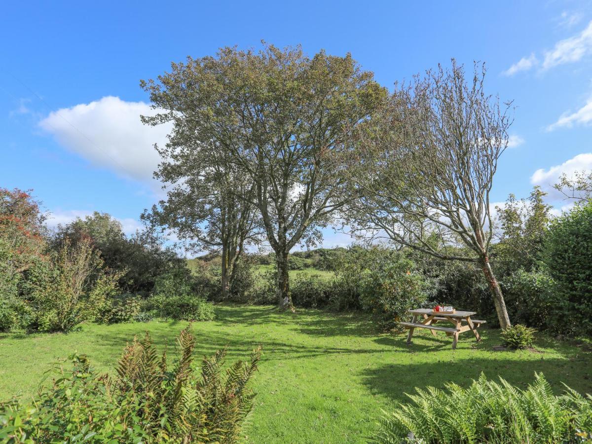 Ffrwd Cottage Bodorgan Buitenkant foto